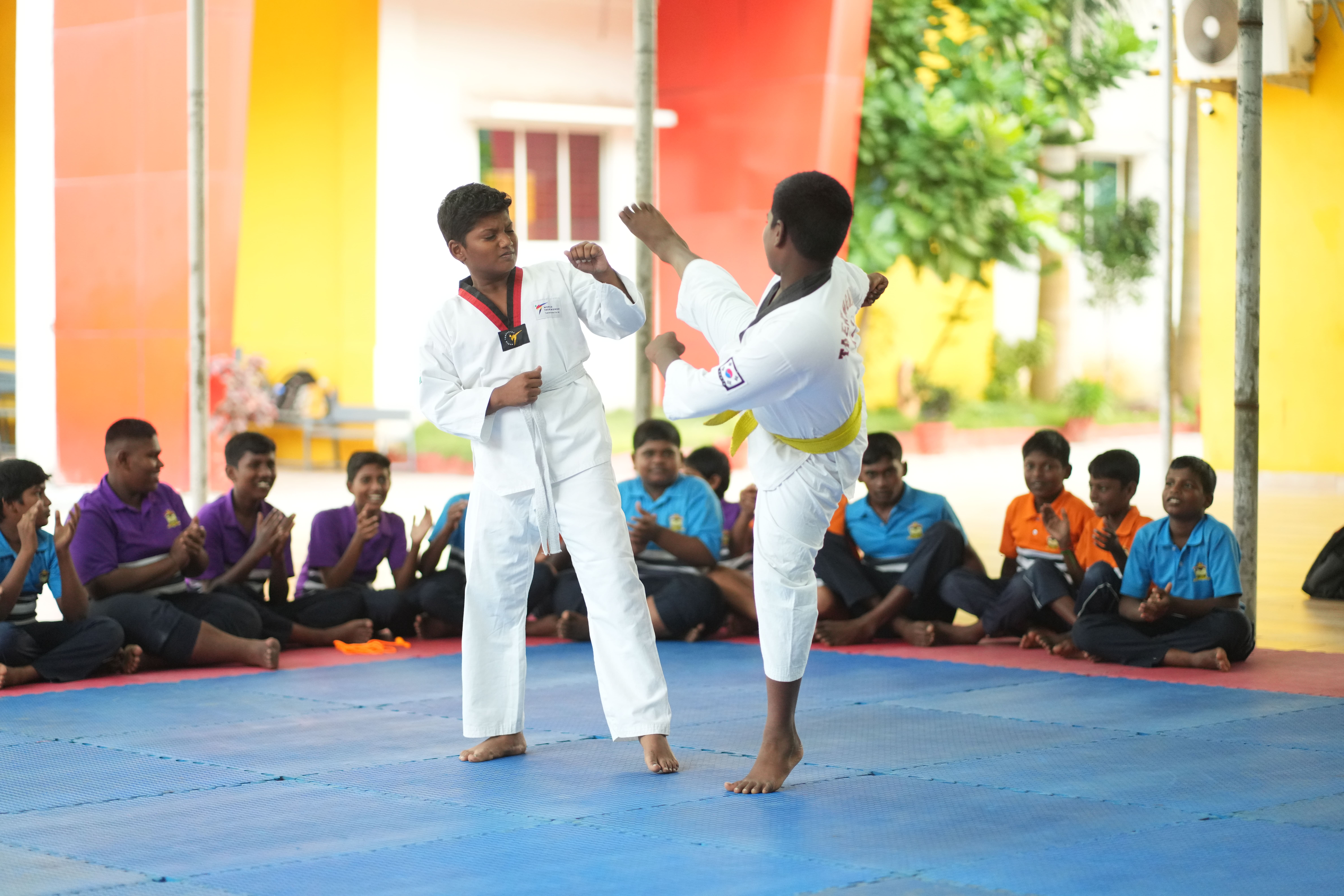 taekwondo Extra curricular